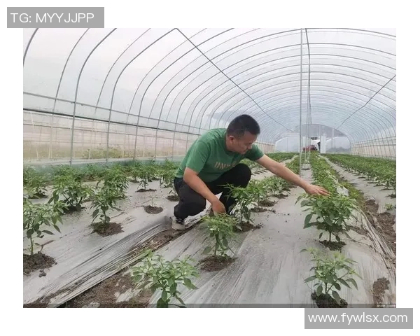 专访刘敏揭秘飞盘运动崛起背后的成功秘诀与未来发展展望