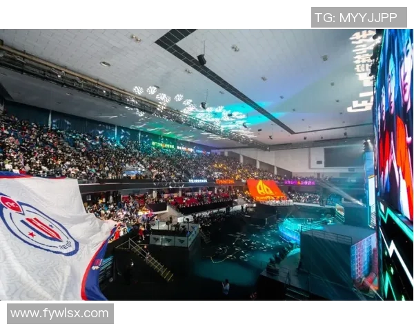 专访张静揭秘英雄联盟成功背后的策略与创新之路