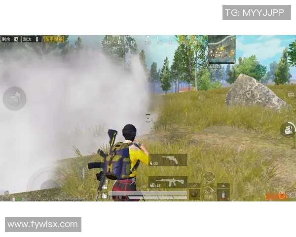 和平精英战术解析：深入探讨RNG战队的快速攻势策略与执行细节