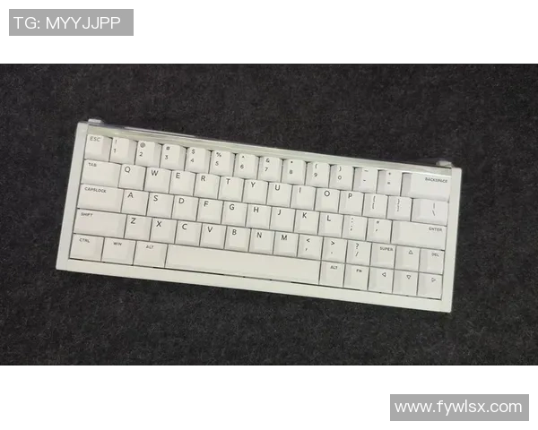 提升游戏体验的CSGO键盘选购指南与推荐 提升游戏体验的CSGO键盘选购指南与推荐