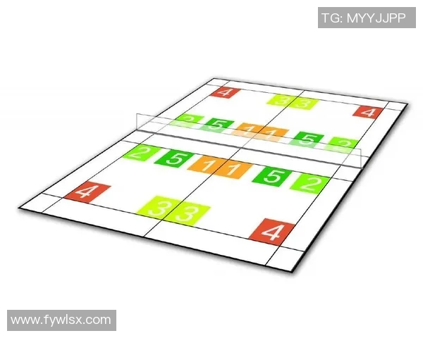 武汉羽毛球队战术表现数据分析与策略优化研究