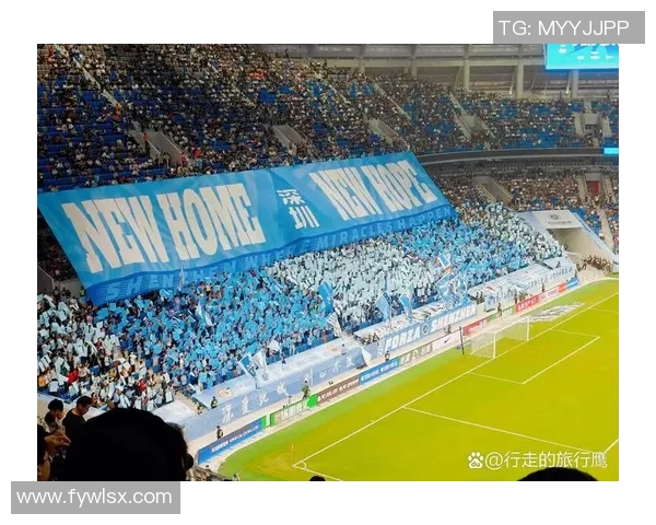 深圳网球队实力引发热议球迷对其表现和未来发展展开激烈讨论