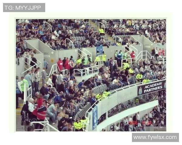 女观众在足球赛场的崛起与影响力探讨 女观众在足球赛场的崛起与影响力探讨